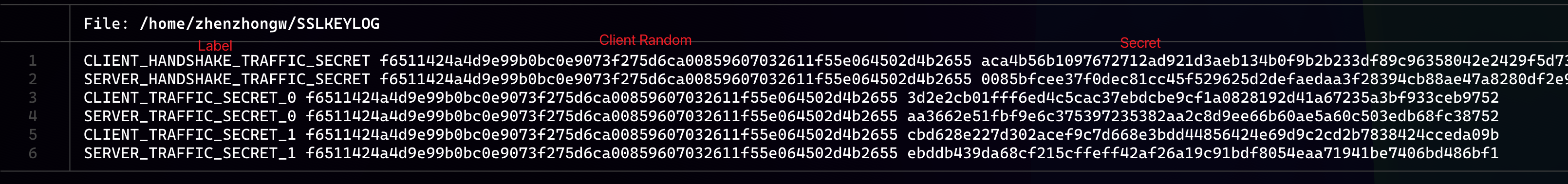 SSLKEYLOG 文件中 TLS 1.3 密钥日志的终端截图