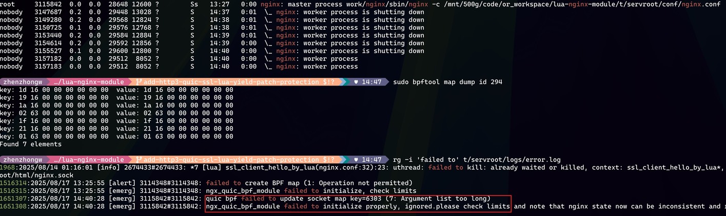 bpftool 查看 nginx QUIC eBPF sockhash Map 成员数量的终端截图