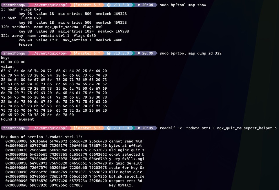 bpftool dump rodata Map 与 readelf section 内容对比截图